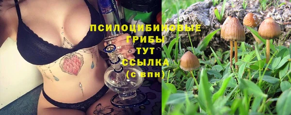 PSILOCYBIN Алзамай
