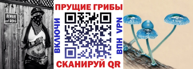 Псилоцибиновые грибы мухоморы  Дмитров 